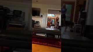 Rocket Dog  English Springer Spaniel funny englishspringerspaniel funnydogs
