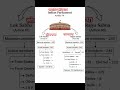 Indian constitution #constitution#polity #upsc #bpsc #ssc #ssccgl #railway #ntpc #videos #viral#reel
