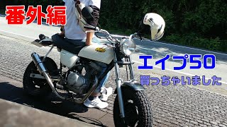 【番外編】エイプ50買っちゃいました！【モトブログ】