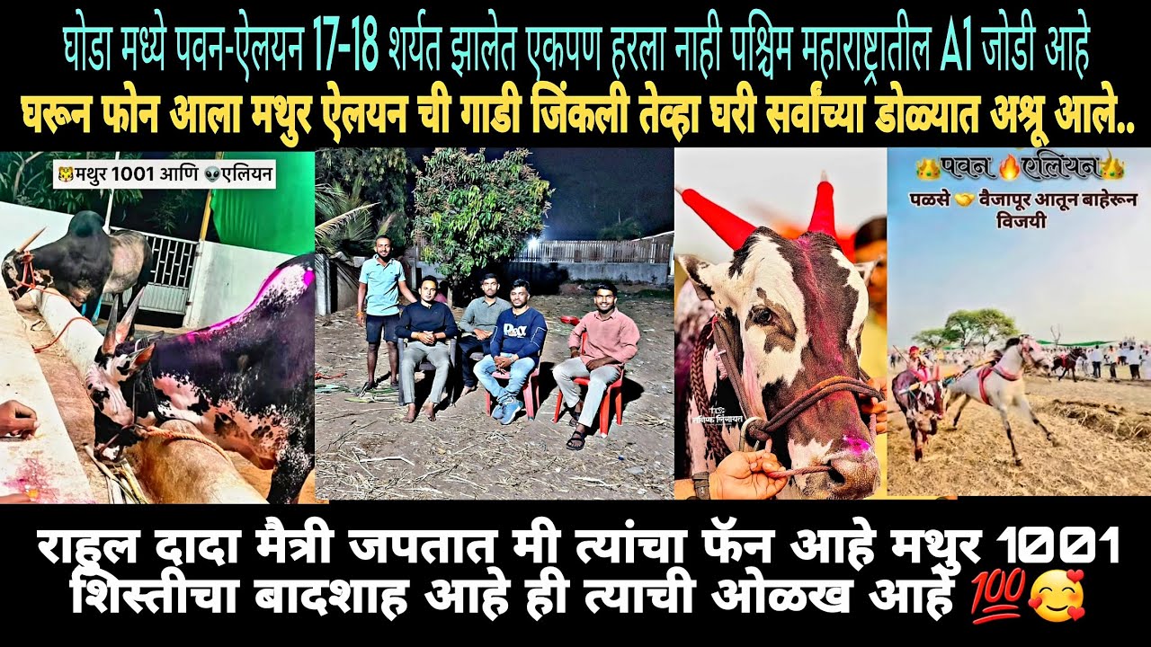 राहुल दादा मैत्री जपतात मी त्यांचा फॅन आहे मथुर 1001 शिस्तीचा बादशाह आहे ही त्याची ओळख आहे 💯🥰