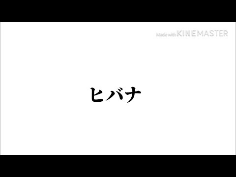 文字PV ヒバナ