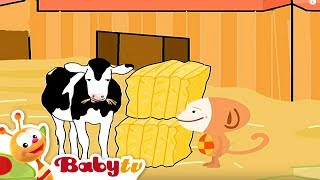 Oliver | Feeding Farm Animals 🦃 🐴  | Videos for toddlers | Cartoons@BabyTV