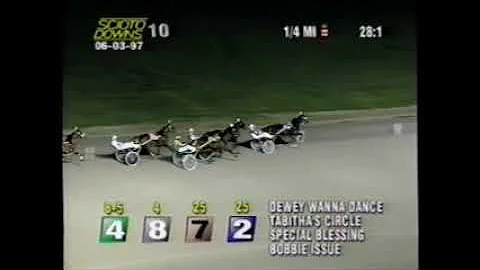 1997 Scioto Downs SURF ALERT Randy Tharps'