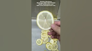 Automatic Lemon Chips Slicing Machine