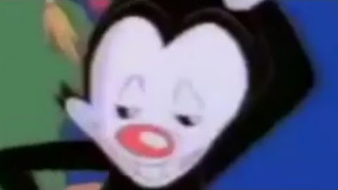 Yakko