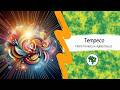 Temporalidade (Flávio Fonseca) en Esperanto