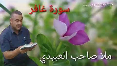 سورة غافر=هديتى الى ارواح امواتكم اخوانى واخواتى الاطهار=ملا صاحب العبيدى