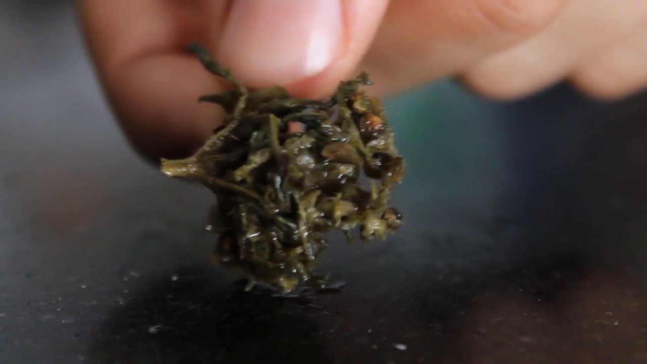 Como lavar o seu prensado de maconha.