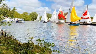 Watching the 2023 3 Rivers Race passing Horning, Norfolk Broads #timelapse #river #sailing