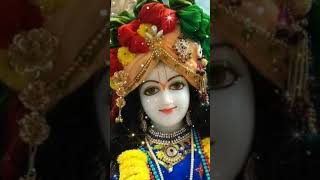 Shree krishna bhajan viral ytshorts youtubeshorts shreekrishnabhajan ??