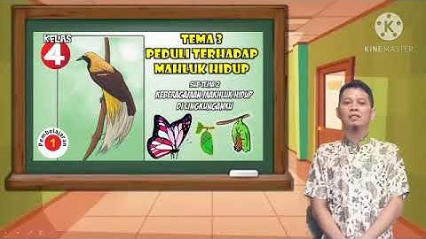 Bagaimana pendapatmu tentang perilaku manusia terhadap kelangkaan burung cendrawasih