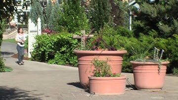 QR Code Scavenger Hunt