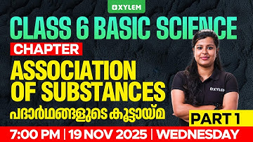 Class 6 Basic Science | Association of Substances Part 1 | പദാർത്ഥങ്ങളുടെ കൂട്ടായ്മ | Xylem Class 6