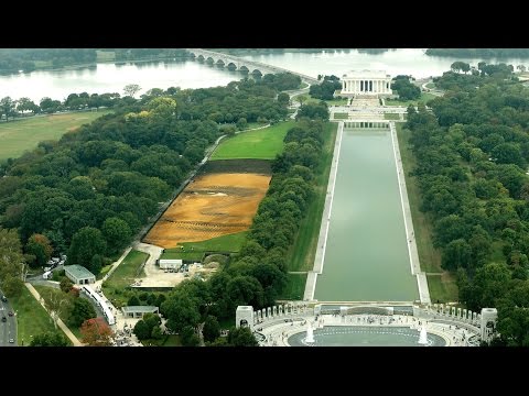 Retrato gigante en la capital de Estados Unidos