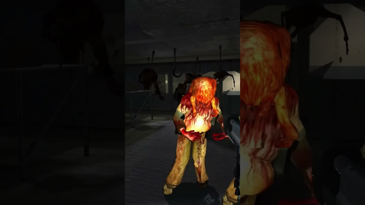 Half-Life Short — Borealis изначально был в Half-Life 2