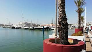 Algarve vila Moura Marina de barcos