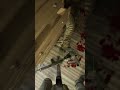 Brutal Kill in this Realistic Game - BODYCAM #unrealengine5 #bodycam #unrealengine