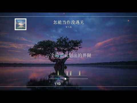 2023華語網絡流行音樂 ||《怎能當作沒遇見》|| 安兒陳 || 動態歌詞