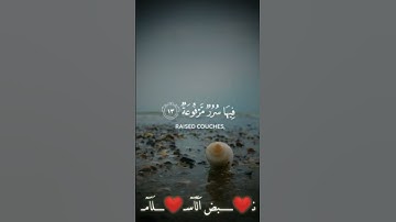 { وُجُوهٌ يَوْمَئِذٍ نَّاعِمَةٌ }[ سورة الغاشية : 8 ]