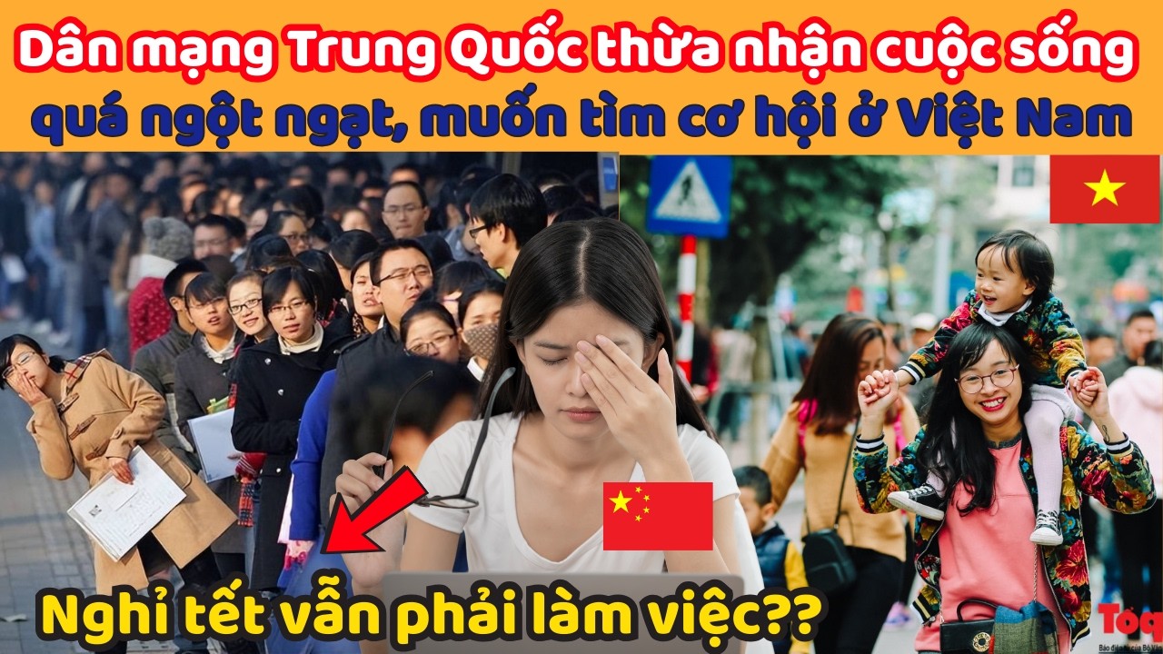 Dân mạng Trung Quốc thừa nhận cuộc sống quá ngột ngạt, muốn tìm cơ hội ở Việt Nam