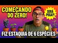 Começando do zero: Estaquia de 6 espécies