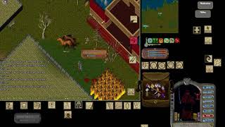 Ultima Online Atlantic Pvp - One Man Army