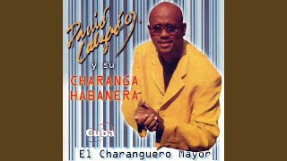 Video thumbnail of "David Calzado - Charanguero Mayor"