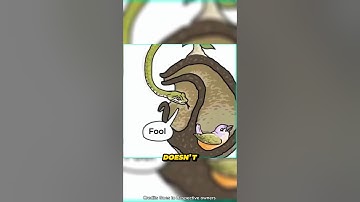 Slimme vogel 🕊️