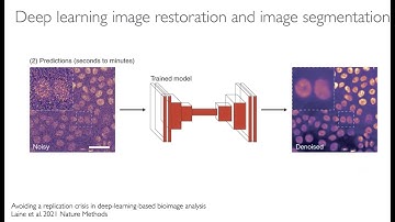 Automating machine learning segmentation and restoration in ImageJ / Fiji