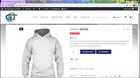 I will fix any wordpress issue or error within 24 hrs - Bug Fixes Services