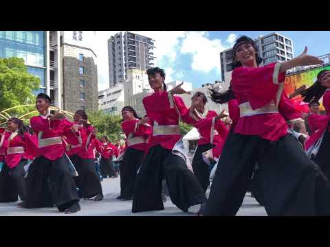 常笑　にっぽんど真ん中祭り 2023 どまつり