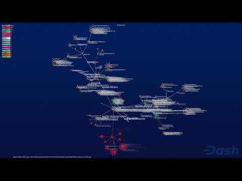 Github Visualization of Dash Platform Wallet Library 2018-2020 (dashevo/wallet-lib)