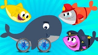 Sleeping Whale Song - Shark Babies Finds Soccer Ball + Nursery Rhymes &amp; Kids Songs