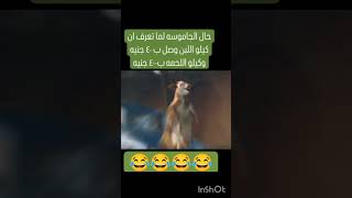 اه يا حوستي السودة يا انا يا اما 🥲