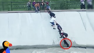 Most Intense Human Chain Ever Rescues Dog Stranded in Canal | The Dodo