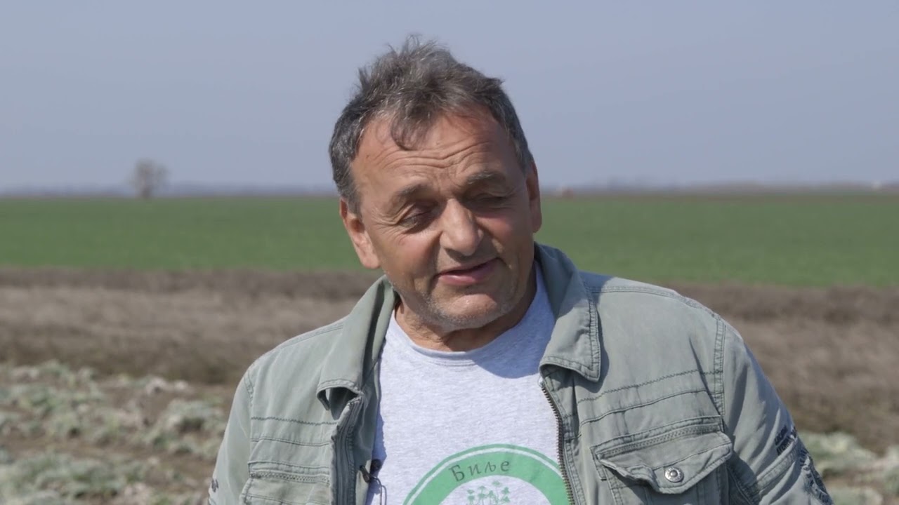 Isplativost u gajenju LEKOVITOG BILJA - U nasem ataru 994