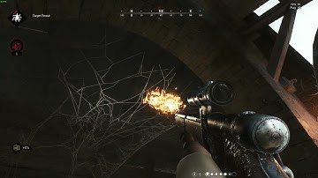 Spider stuck (hunt showdown)