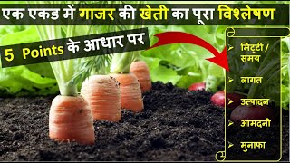 एक एकड़ गाजर की खेती में लागत, आमदनी और प्रॉफिट की पूरी जानकारी | Carrot  Farming In India