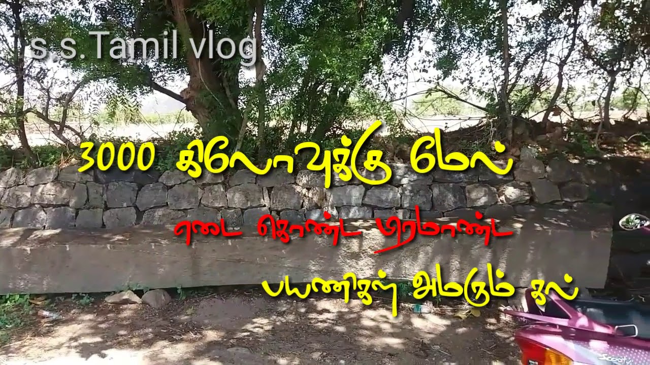 village view mulanur