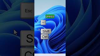 Full 5279030202860560 News