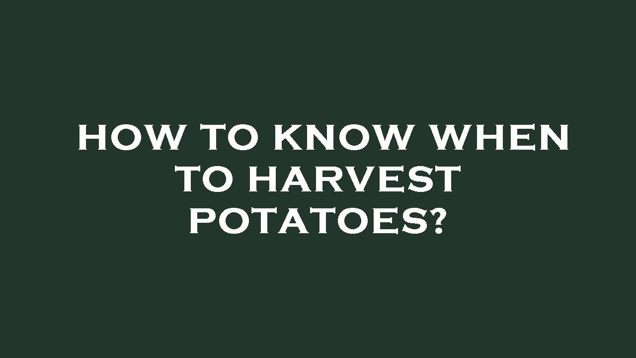 How To Know When To Harvest Potatoes YouTube how-to-know-when-to-harvest-potatoes-youtube