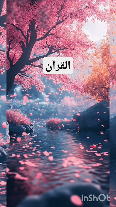 Surah An-Nisa ayat 34 #quran #surah