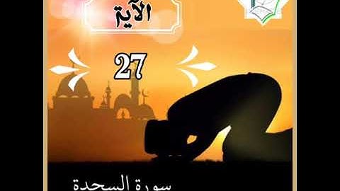 سورة السجدة الآية 27 شرح وتلاوة أ.سمية #قليل_دائم_خير