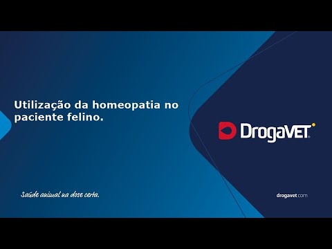 Vídeo: Pergunte a um veterinário: há material marrom vindo dos ouvidos do meu cão! Ela tem ácaros da orelha?