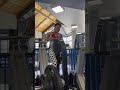 Slow Motion Shoulder &amp; Abs Workout | Train Smarter, Not Faster 💪🔥 #fitnessmotivation