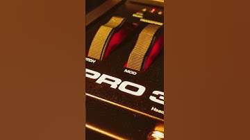 Sequential PRO 3 - One Synth One Sound #analog #mono #vibe