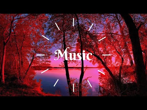 Calm Music, HIP HOP music for sleeping, resting, eating, studying. Music Live Stream