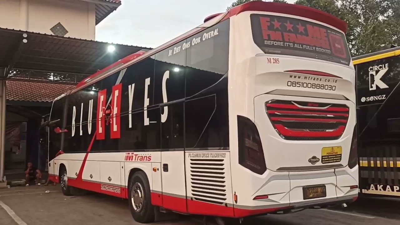 Bus m trans