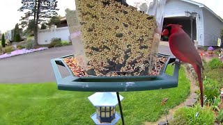 Newswatch 16's Jon Meyer shares some of the impressive wildlife pictures that were caught on camera