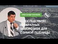 Александр Боровик о последствиях возвратных заморозков для озимой пшеницы